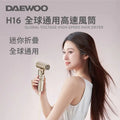 DAEWOO H16 全球通用高速風筒